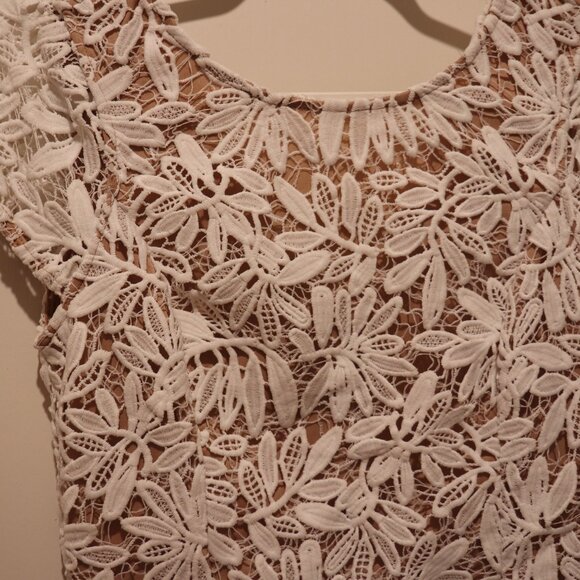 Right Sheer, Right Now White Lace Bodycon Dress - Picture 6 of 8